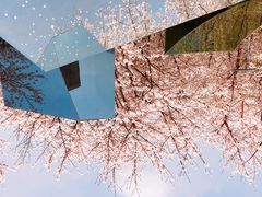 -龙美术馆(西岸馆)