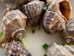 水煮香螺-胖大嫂渔家排档·全海景餐厅(渔村店)