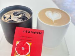 -收获咖啡HARVEST RESERVE(苍山店)