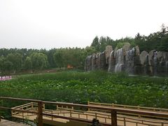 -微山湖红荷湿地景区