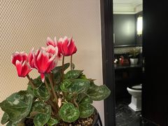 -翠府(翠湖北路店)