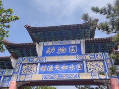 -西霞口神雕山野生动物世界