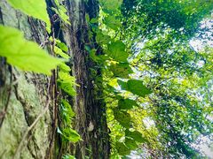 -宁波市保国寺古建筑博物馆