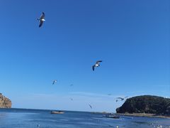 -棒棰岛宾馆景区
