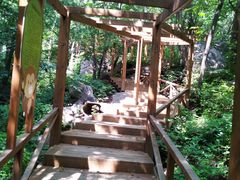 -大岭沟猕猴桃谷风景区