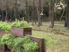 -荔枝公园(福田区)