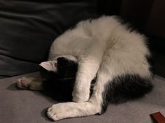 -虚荣精酿酒屋(五羊店)