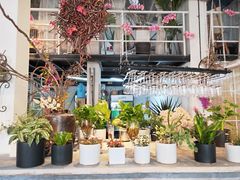 -蓝山四季西餐植物店