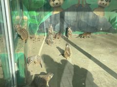-秦皇岛野生动物园