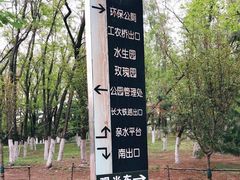 -长白岛森林公园