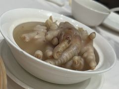 -千灯盛汇·头牌粤菜(致越优城店)