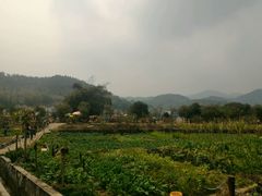 -红山村