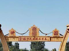 -金塔沙漠胡杨林景区