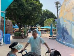 -海合安成都极地海洋公园