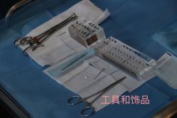 -众刺纹画·纹身·穿孔饰品·海娜定制