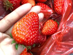 -太湖湾开元名庭大酒店