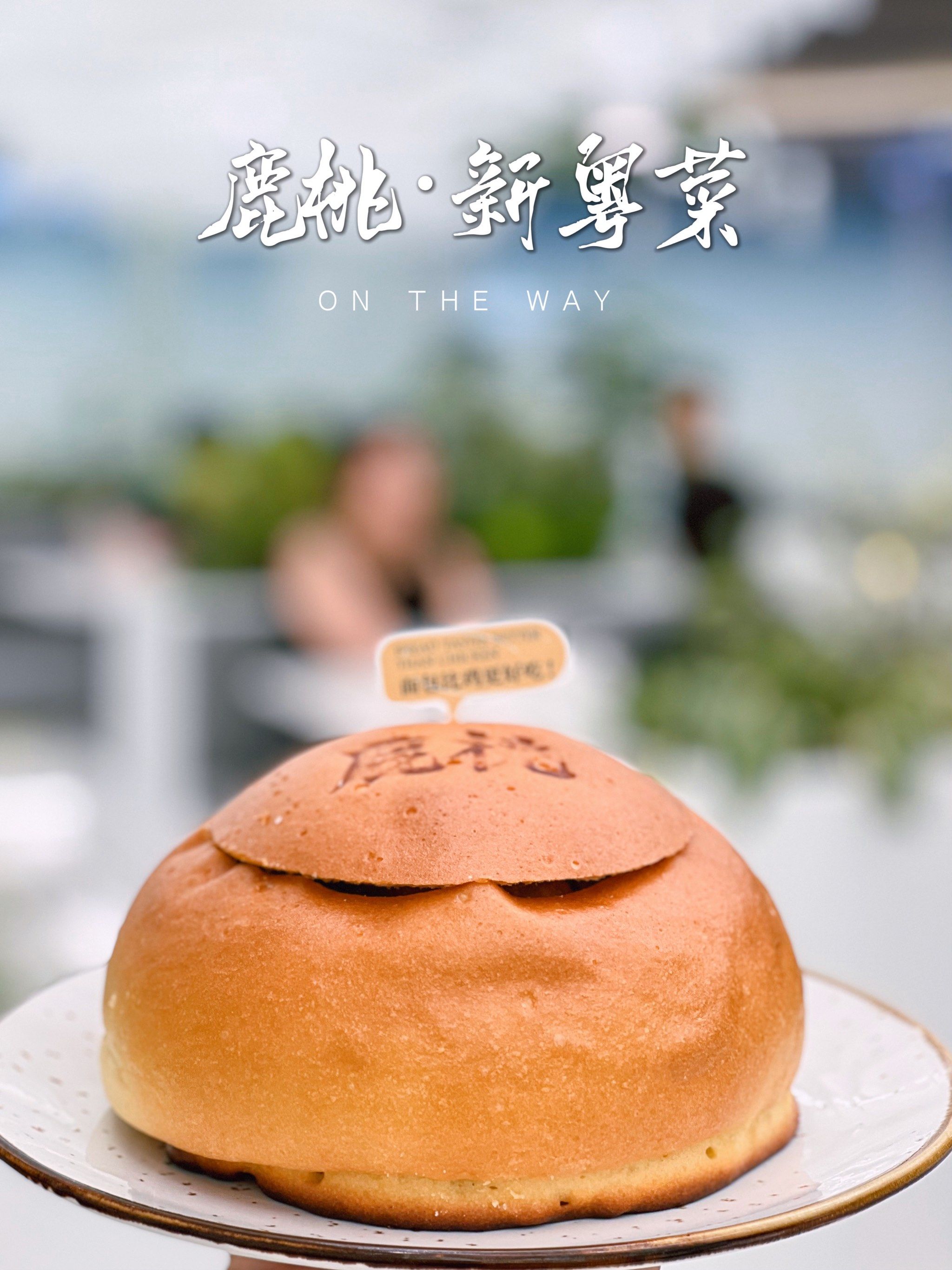 绿野仙踪般的餐厅,鹿桃你可太会了!