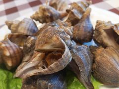 -红星渔村(将军石店)