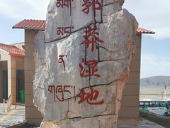 -郭莽湿地