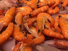 -非烤勿扰韩料自助烤肉(松山湖万科店)