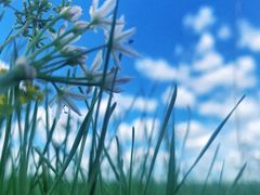 -呼和诺尔旅游景区