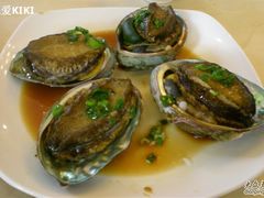 鲍鱼-海岛渔村大酒店(云霄路店)