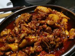 -志晖园圆子鸡·辣子鸡(阳光店)
