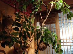 -农耕记·湖南土菜(科技园店)