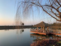 -苏州湾·王焰温泉