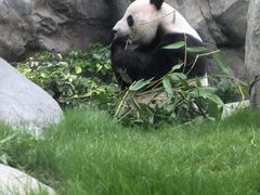 -香港海洋公园