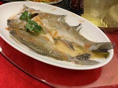 -御同亨酒楼·喜宴