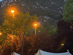 -禅宗少林·音乐大典