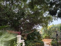 -台山颐和温泉城