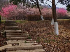 -南山风景名胜区
