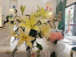 -仙娜健康管理中心