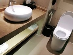 -麗枫(广州番禺长隆南村万博地铁站店)