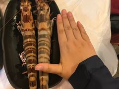 花竹虾-鲜入围煮花胶鸡海鲜火锅