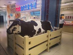 -红星前进面包牛奶公司(君太店)