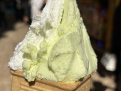 -柠檬车露(卖草地店)