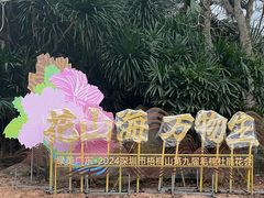 -梧桐山风景名胜区