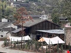 -MOJ coffee(瓯海泽雅水碓坑店)