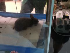 -雨林宠物医院 非犬猫异宠专科