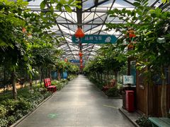 -南宫五洲植物乐园