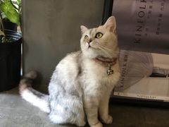 -研途咖啡馆(健康路店)