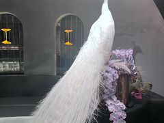 -滇野云南野生菌餐厅(陕西南路店)