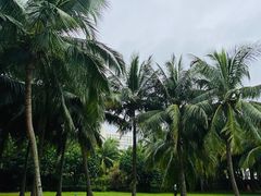 -白沙门生态公园