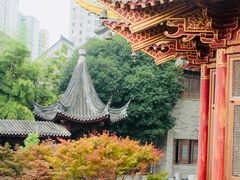 -龙潭水乡