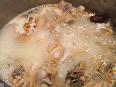 原味椰子鸡-肥佬大椰子鸡(三里屯3·3大厦店)
