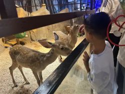 -酷嗒动物文化乐园(cutezoo西溪乐天城店)