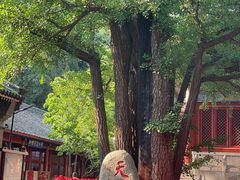 -红螺寺